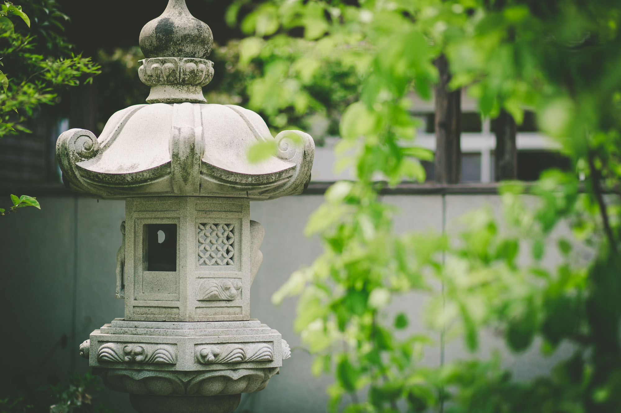 浄賢寺の敷地